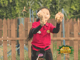 1233.gif