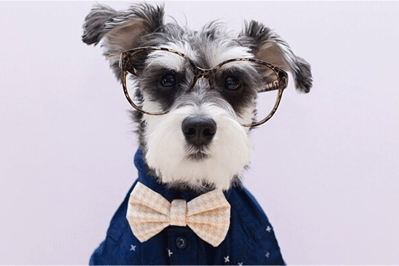 1493371536549006.gif sadeuiop.gif