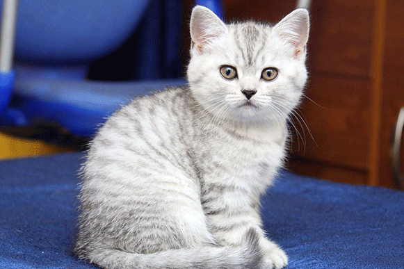 1500461318587634.gif polkjh.gif