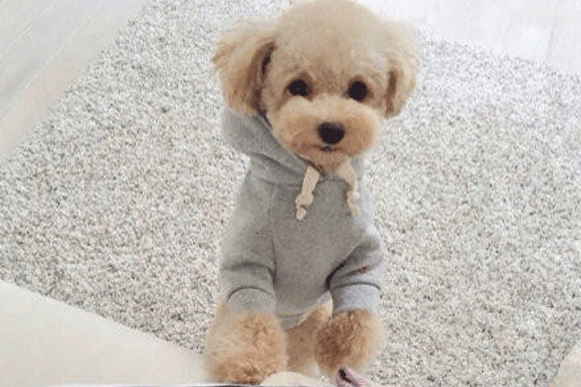 1505299518790105.gif vb;l;5.gif
