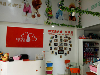 1552881626552987.jpg 400 300 (31).jpg