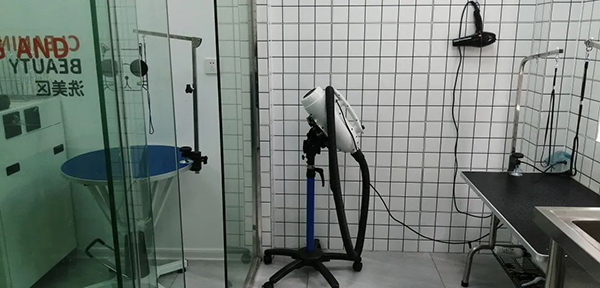 1653991012497145.jpg 640 (1).jpg